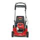 22 in. (56cm) Recycler® w/Personal Pace® Gas Lawn Mower-1