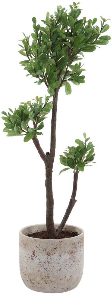 Uttermost® Arbor Aged Ivory Strawberry Tree-2