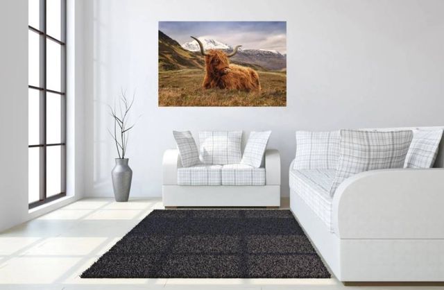 Classy Art Highland Cow 2 Wall Art-3