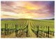 YHD Grapevines Wall Art-0