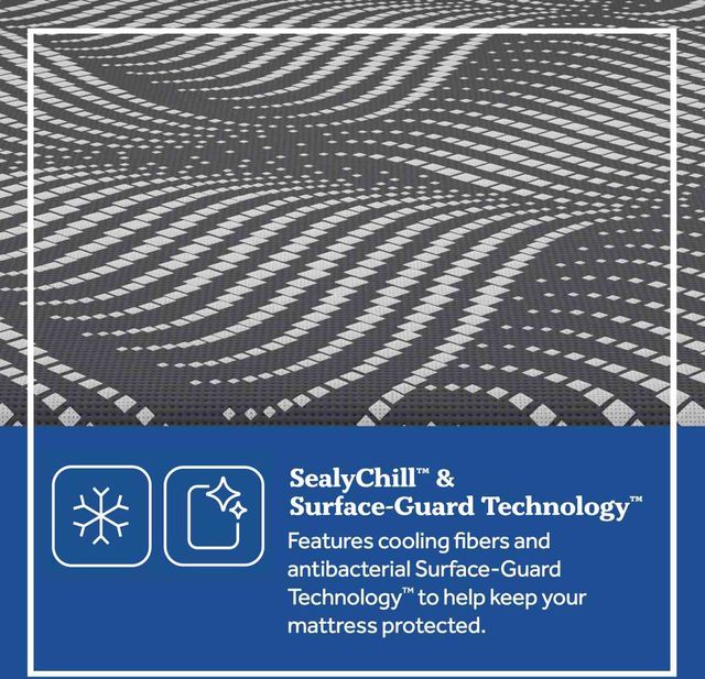 Sealy® Posturepedic® Plus High Point 14" Hybrid Firm Tight Top Queen Mattress-6