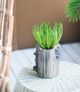 A & B Home Nickel 9" Planter With Mushroom-5