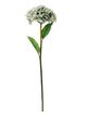 A & B Home Green/White Hydrangea -0