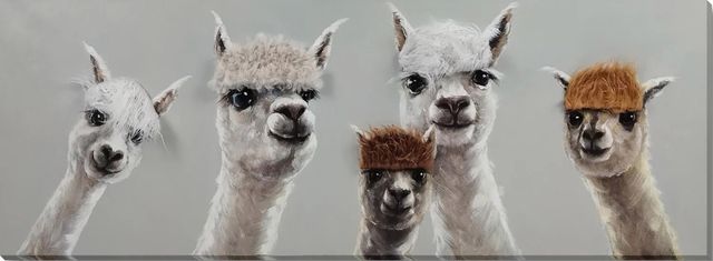 Classy Living Contemplative Llama Squad with Quirky Bangs Wall Art-0
