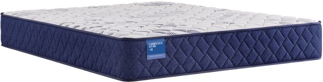 Sealy® Carrington Chase Stately 12" Innerspring Soft Tight Top Twin Mattress-0