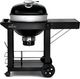 Napoleon PRO 46" Black Portable Charcoal Grill-0
