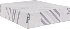Sealy® Carrington Chase Murry Hill 10" Foam Medium Tight Top Queen Mattress