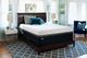 Sealy® Conform™ Premium™ N13 Wondrous Gel Memory Foam Ulta Plush Tight Smooth Top Twin XL Mattress-1