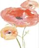 Classy Living Jennifer Goldberger Neon Poppies I Wall Art-2