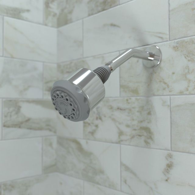 Hansgrohe Clubmaster Chrome Showerhead-1