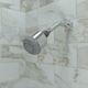 Hansgrohe Clubmaster Chrome Showerhead-1