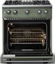 Viking® 5 Series 30" Eucalyptus Pro Style Gas (LP) Range with Polished Chrome Trim-1