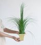 A & B Home Green Artificial Potted Grass Accent-4