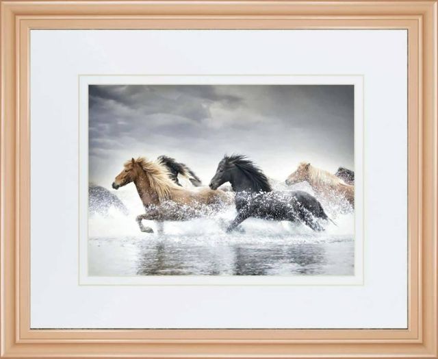 Classy Art Horse Run V by PHBurchett Wall Art-0