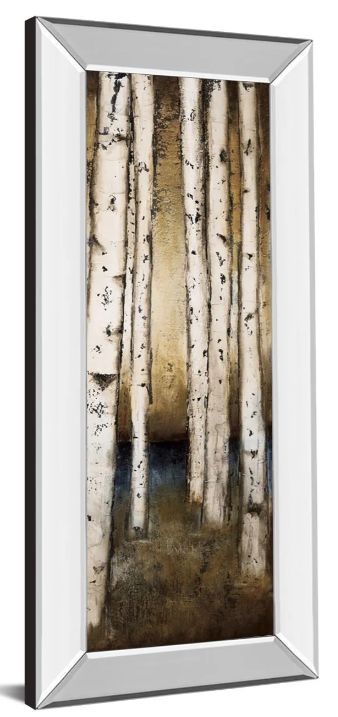 Classy Art Birch Landing III by St Germain Mirror Framed Wall Art-1