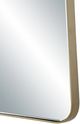 Renwil® Miley Champagne Accent Mirror-4