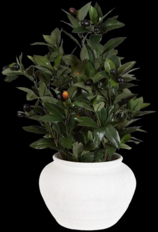 Uttermost® Elena Olive Green/White Centerpiece-0