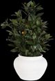 Uttermost® Elena Olive Green/White Centerpiece-0