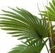 A & B Home Green Artificial Fan Palm Tree in Pot-2