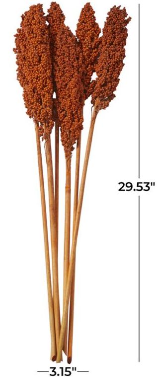 Deco Marche Orange Dried Plant Corn Maze Grass Natural Foliage with Long Stems-2