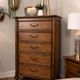 Berkshire Warm Cognac Chest-4
