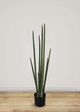 Le Present Sanseveria Green 37.5" Faux Botanical Cylindrica-3