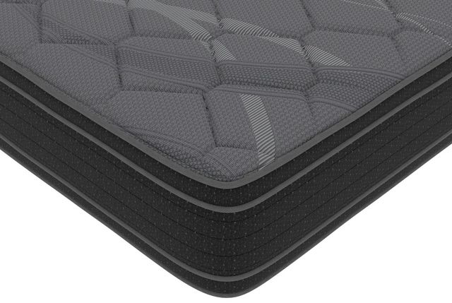 Symbol® Anisha 12" Wrapped Coil Plush Euro Top Double-Sided Queen Mattress-1