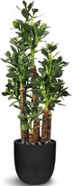 Le Present 31.5" Artificial Jade Green Plant-0