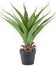A & B Home Green Artificial Yucca Plant with Cement Pot-0