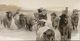 Stylecraft Winter Sheeps II Beige/Black Wall Art-1