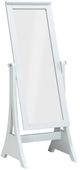 TEI Gray 23" Rectangle Floor Standing Mirror-0