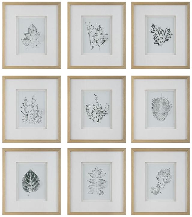 Uttermost® Nature's 9-Piece Framed Print Art Set-0