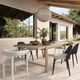 TOV Furniture Alexa Black/Cream White Linen/Rattan Outdoor Dining Chair-1