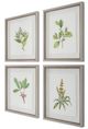 Uttermost® Wildflower Study 4-Piece Framed Print Set-3