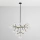 Classic Home Phoenix Black/Gold Chandelier-4