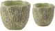 A & B Home 2-Piece Natural Green Planters-0
