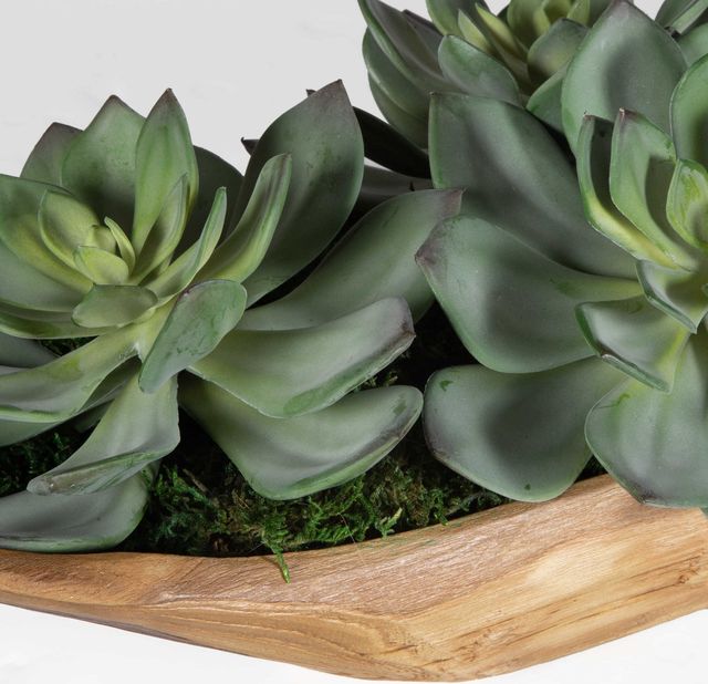 Uttermost® Yuma Brown/Green Succulent Centerpiece-4