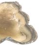 A & B Home Lupe Beige/Gray Hand-Carved Amber Onyx Bowl-1