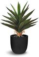 Le Present Agave Green 25.5" Faux Botanical-0