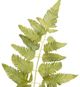 A & B Home Green Fern Spray Stem-2