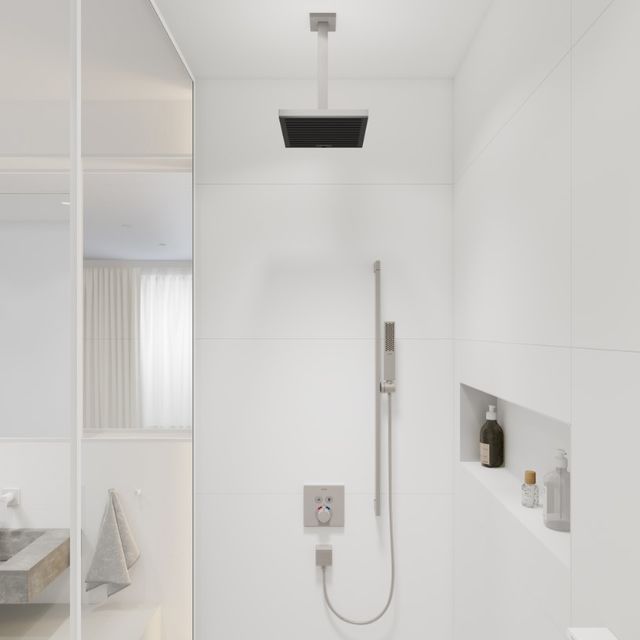 Hansgrohe Vernis Blend Brushed Nickel Handshower with 2.5 GPM-1