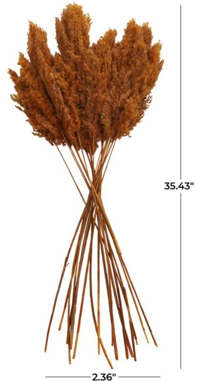 Deco Marche Orange Dried Plant Pampas Grass Natural Foliage with Long Stems-2
