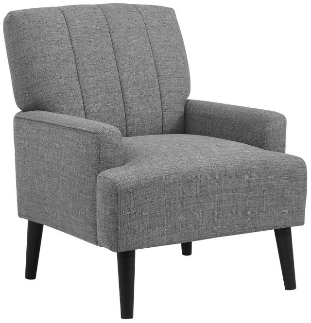 Elements International Kiwi Palmer Gray Chair-0
