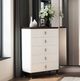 ACME Furniture Carena Brown/White Chest-1