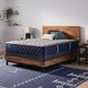 Sealy® Carrington Chase Wild Canyon 12.5" Wrapped Coil Firm Tight Top Split California King Mattress, Includes 2 Pieces-3