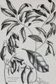 Stylecraft Black/Gray/Off-White Wall Art-1