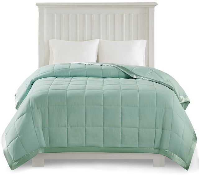 Olliix by Madison Park Seafoam All Season Hypoallergenic Microfiber Down Alternative King Windom Blanket-4