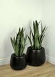 Le Present Belly Black 19" Planter-5