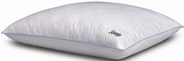 Sealy® Performance Dual-Comfort Standard Pillow-0