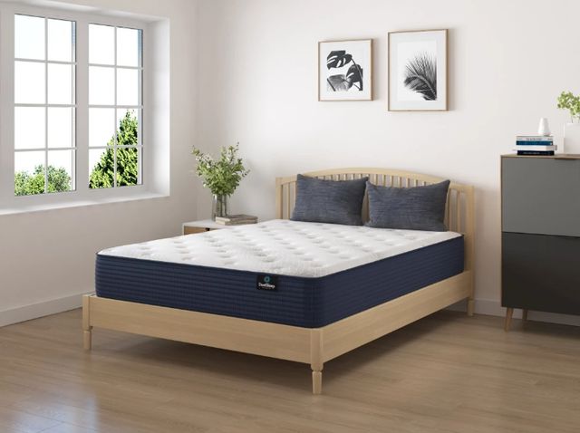 Restonic® DuetSleep by Visionary Sleep Somerset Wrapped Coil Plush Tight Top Queen Mattress-1